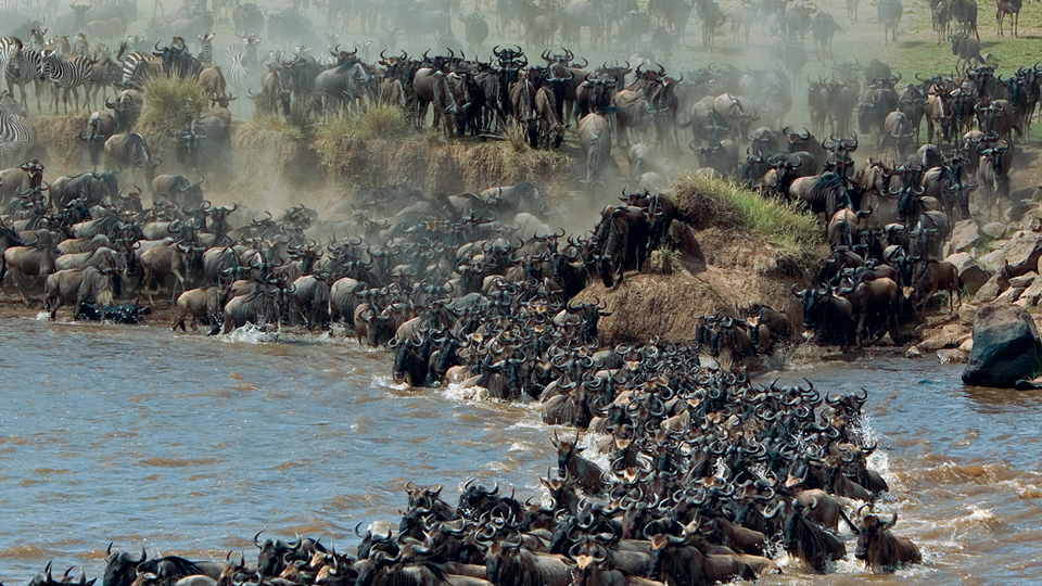 6-Days-serengeti-and-maasai-mara-safaris-02